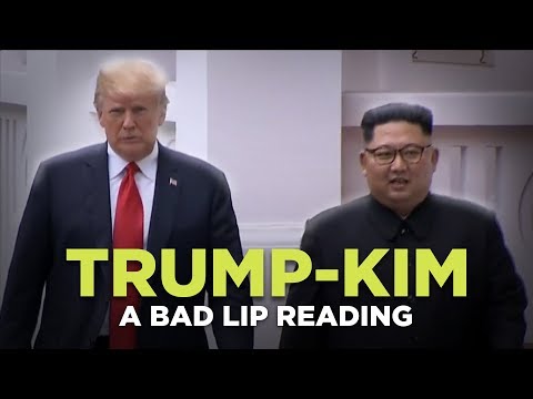 Bad lip reading